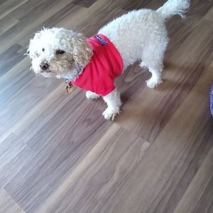 Meet your Posher, Ella